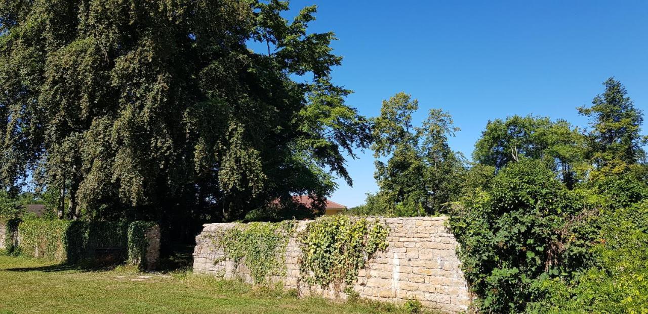 Le 49 Cote Parc & Spa Domblans Exterior foto